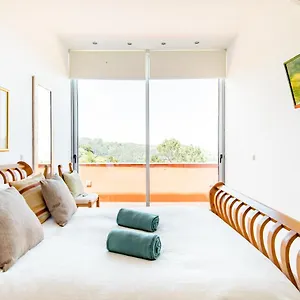 Séjour chez l'habitant Casa Pico Ruivo Caldeirao Madeira, Santana (Madeira)
